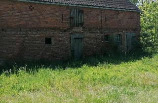 Einfamilienhaus kaufen in 14789 Wusterwitz, Wusterwitz - Einfamilienhaus mit Scheune in Schollene zu verkaufen