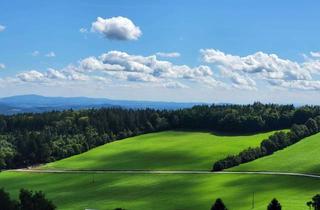 Wohnung kaufen in 94169 Thurmansbang, Zwei Wohnungen mit unvergleichlichem Ausblick