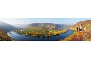 Wohnung mieten in Weinstraße 14, 56821 Ellenz-Poltersdorf, Helle 2-Zimmer Dachgeschosswohnung mit Dachterrasse in Ellenz-Poltersdorf