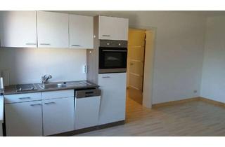 Wohnung mieten in Unterdorfstraße 19, 07749 Wöllnitz, Neuwertiges Appartment: alles dabei außer Strom: Internet, Klimaanlage, Einbauküche, Waschtrockner,