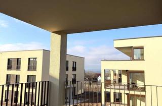 Wohnung mieten in Loretostraße 28/1, 88069 Tettnang, Exklusive 3-Zimmer-Neubauwohnung in ruhiger Lage mit hochwertiger Ausstattung