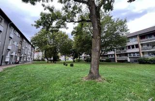 Wohnung mieten in Lindenallee 34, 47226 Rheinhausen-Mitte, 3 Zimmer im EG mit Balkon - modernes Wannenbad mit Fenster - Duisburg Rheinhausen