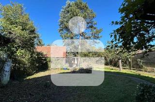 Mehrfamilienhaus kaufen in 91056 Alterlangen, Freistehendes Mehrfamilienhaus mit großem Grundstück...3-Familienhaus in Alterlangen