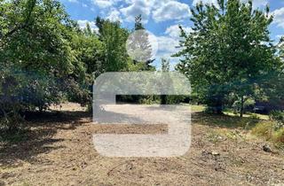 Grundstück zu kaufen in 91056 Dechsendorf, Schaffen Sie Ihr neues Zuhause!...Grundstück in Erlangen-Dechsendorf