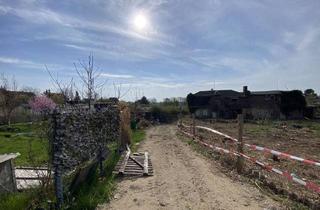 Grundstück zu kaufen in 01589 Riesa, Großes Grundstück (7.940 qm) in Riesa-Pausitz - Bebauung möglich