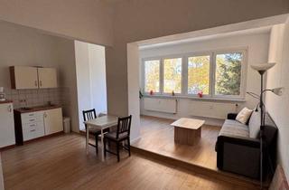 Wohnung mieten in Theaterstraße, 07545 Gera, Charmante 1-Zimmer Wohnung in Gera, frisch saniert