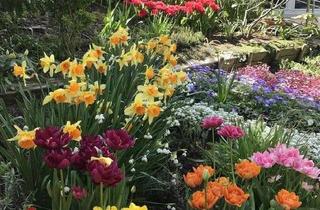 Wohnung mieten in Körtingstraße 42, 12107 Berlin, Frühling im eigenen Garten? - Modernisierte 4 Zimmer Wohnung in Tempelhof