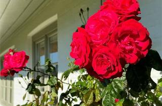 Haus mieten in 25980 Sylt, Reet-Einzelhaus mit Sauna und Doppelgarage zur Miete - Erstbezug nach Sanierung