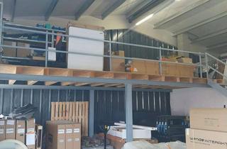 Gewerbeimmobilie mieten in 23795 Bad Segeberg, Halle