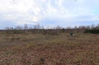 Grundstück zu kaufen in 29416 Kuhfelde, Bauland für betreutes Wohnen und Seniorenwohnen