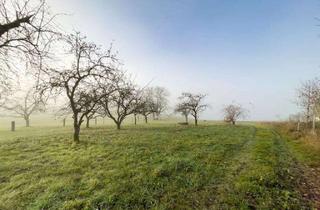 Grundstück zu kaufen in 94051 Hauzenberg, Baugrundstück, Dorfrand in ruhiger Aussichtlage, sonnig und Alpenblick