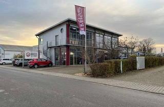 Gewerbeimmobilie mieten in Robert-Bosch-Strasse, 68542 Heddesheim, Untervermietung im repräsentativen Ausstellungsgebäude