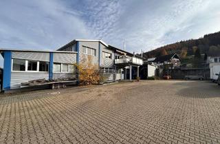 Gewerbeimmobilie kaufen in 35719 Angelburg, Gewerbefläche mit großer Einfahrt und Parkplätzen in Gönnern