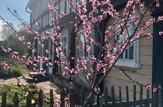 Haus kaufen in 02779 Großschönau, Großschönau - Wunderschönes und mit Liebe saniertes Umgebindehaus