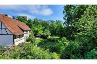 Wohnung kaufen in 65835 Liederbach, Liederbach am Taunus - Eigentumswohnung in Liederbach bei Frankfurt am Main