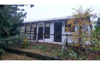 Haus kaufen in 06917 Jessen, Jessen (Elster) - Gartengrundstück mit Bungalow bzw. Haus , Garage und Pool