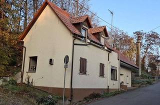Einfamilienhaus kaufen in 74211 Leingarten, Kleines Tiny-Einfamilienhaus mit Garage/ Anbau „klein aber mein“