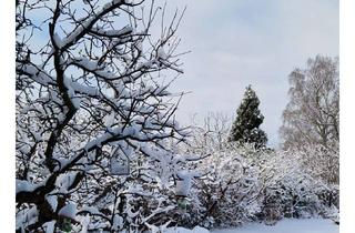 Grundstück zu kaufen in 12357 Rudow, Grundstück sucht Herrchen und Frauchen !