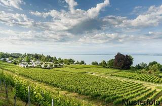 Grundstück zu kaufen in 88090 Immenstaad, Sorry..leider reserviert. Eigener Campingplatz direkt am Bodensee. Stellplatz 115 m² groß. Mit Wasse