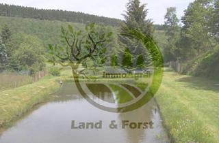 Gewerbeimmobilie kaufen in 35716 Dietzhölztal, Verkaufe 3.181m² Weihergrundstück in 35716 Rittershausen (DIL)