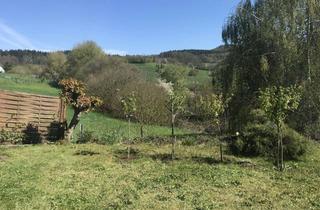 Wohnung mieten in 64646 Heppenheim, Freundliche 1-Zimmer-Wohnung in Heppenheim-Kirschhausen