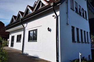 Wohnung mieten in Gemmingerstrasse, 72516 Scheer, Attraktive 1 Zimmer-Wohnung in Scheer