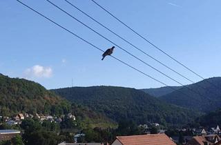 Wohnung mieten in 67466 Lambrecht, 3-Zimmer Wohnung mit großer Terrasse und toller Aussicht