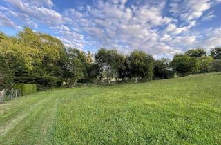 Grundstück zu kaufen in 71144 Steinenbronn, VIELSEITIGES ANWESEN – IDEEN OHNE GRENZEN