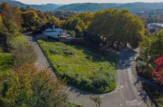 Grundstück zu kaufen in 77933 Lahr, Großes Baugrundstück mit unverbaubarem Blick in begehrter Lage - für den Käufer provisionsfrei