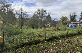 Grundstück zu kaufen in 79379 Müllheim, GUT UND NATURNAH GELEGEN