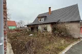 Haus kaufen in 06682 Teuchern, Teuchern - Großes Grundstück inklusive Haus nähe Leipzig zum Ausbau