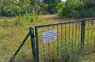 Haus kaufen in 29475 Gorleben, Gorleben - Baugrundstück an der Elbe, 29475 Gorleben Ringstraße