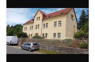 Mehrfamilienhaus kaufen in 08141 Reinsdorf, Reinsdorf - MFH in Reinsdorf Zwickau