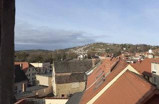 Haus kaufen in 06632 Freyburg, Freyburg (Unstrut) - Altstadthaus