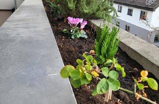 Wohnung kaufen in 71679 Asperg, Asperg - Sehr gepflegte und moderne Wohnung in Asperg