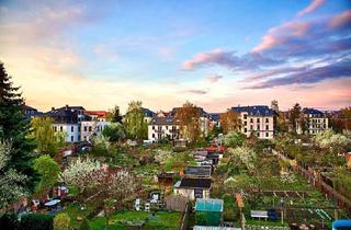 Wohnung mieten in Wormser Straße 67, 01309 Striesen-Ost, kleine 3-Raumwohnung mit Wintergarten in Dresden-Striesen