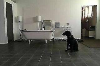 Lofts mieten in Lange Str., 71394 Kernen, (WOHN-) ATELIER / STUDIO / LOFT / CO-WORKING für Kreative