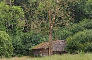 Haus kaufen in 84166 Adlkofen, Grundstück mit Altbestand + Weiher/Wiese + großer Waldanteil - Birnkofen (Adlkofen)