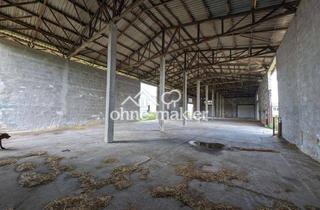 Geschäftslokal mieten in Klossaer Straße 48, 06917 Klossa, 785 m² Halle Lagerhalle Schweinestall Hühnerstall Pferdestall Kuhstall Hundeschule Grundstück