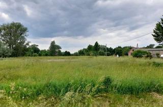 Grundstück zu kaufen in 39615 Schönberg, Wohngrundstück in Hansestadt Seehausen zu verkaufen.