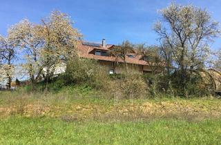 Grundstück zu kaufen in 74930 Ittlingen, Verwirklichen Sie Ihren Traum - Grundstück für ein freistehendes Haus