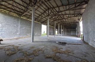 Lager mieten in Klossaer Straße 48, 06917 Jessen, 785 m² Halle Lagerhalle Schweinestall Hühnerstall Pferdestall Kuhstall Hundeschule Grundstück