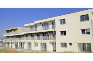 Penthouse mieten in Herdweg 34, 74235 Erlenbach, 3,5-Zimmer Penthouse Wohnung