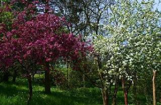 Grundstück zu kaufen in 15370 Fredersdorf-Vogelsdorf, Preisreduzierung! Grundstück für Schnellentschlossene.