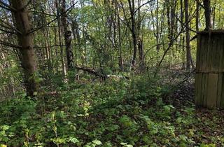 Haus kaufen in 95030 Hof, Hof - Grundstück in ehemaliger Gartenkolonie mit Hütte