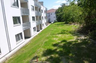 Wohnung mieten in An Der Riedwiese, 61250 Usingen, 60 qm günstige, 2-Zimmerwohnung mit Balkon in Usingen ab 01.05.2026
