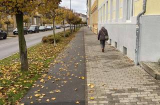Wohnung mieten in Friedrichstraße 16, 06886 Lutherstadt Wittenberg, Schicke 2-Raumwohnung mit Einbauküche