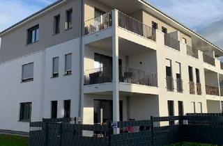 Wohnung mieten in Astrid-Lindgren-Str. 41, 64319 Pfungstadt, Geschmackvolle 2-Raum-Neubau-Wohnung mit Balkon und EBK in Pfungstadt