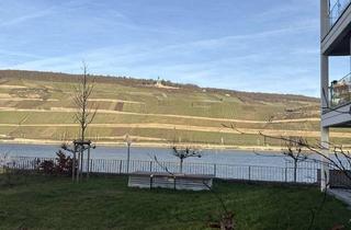 Wohnung mieten in 55411 Bingen, Helle EG Wohnung direkt am Rhein