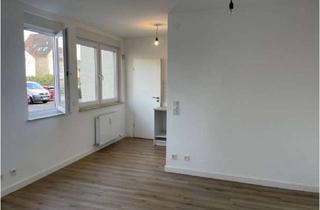 Wohnung mieten in Binger Str. 10A, 55263 Wackernheim, Komplett renovierte 2-Zimmer Wohnung mit neuer Einbauküche in Wackernheim